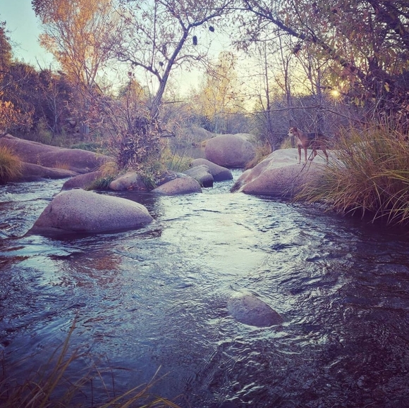 Meet your Posher, Maria - Picture 4 of 11